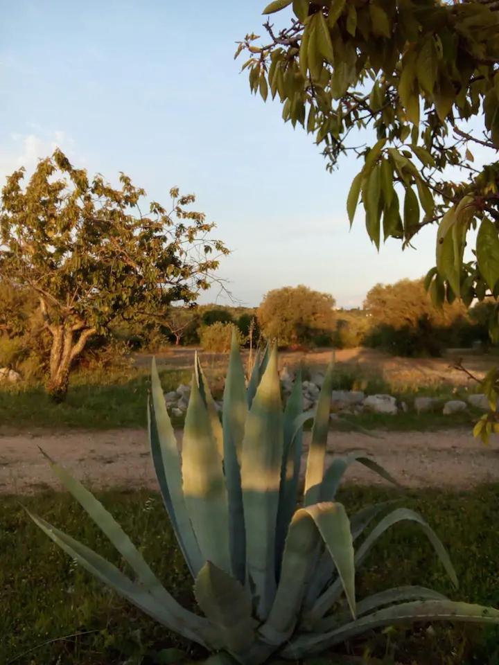 Masseria Fra Diavolo Guest House Castellana Grotte Exterior foto